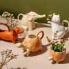 Cat Watering Can